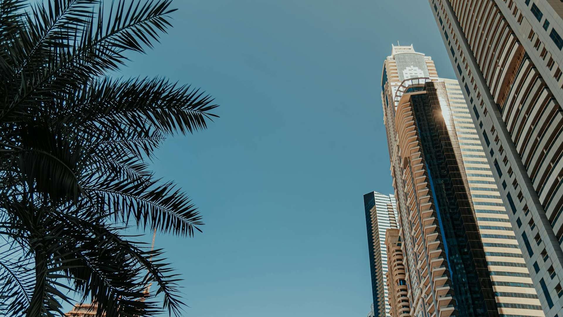 Why Choose DMCC